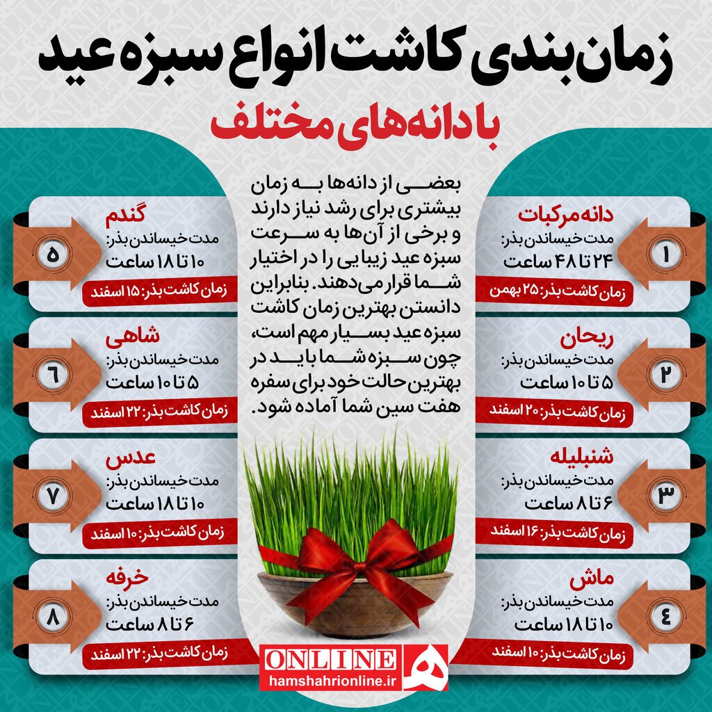 اینفوگرافیک