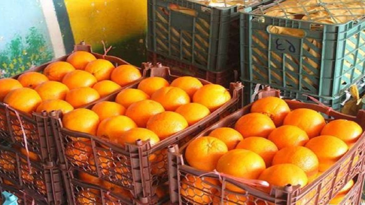 موجود بودن ۲۸۰ تن میوه شب عید در خراسان جنوبی