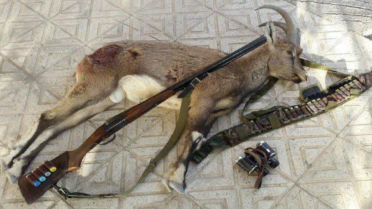 سرعت عمل پلیس برای دستگیری شکارچیان غیرمجاز در هنگام خروج از شهرستان