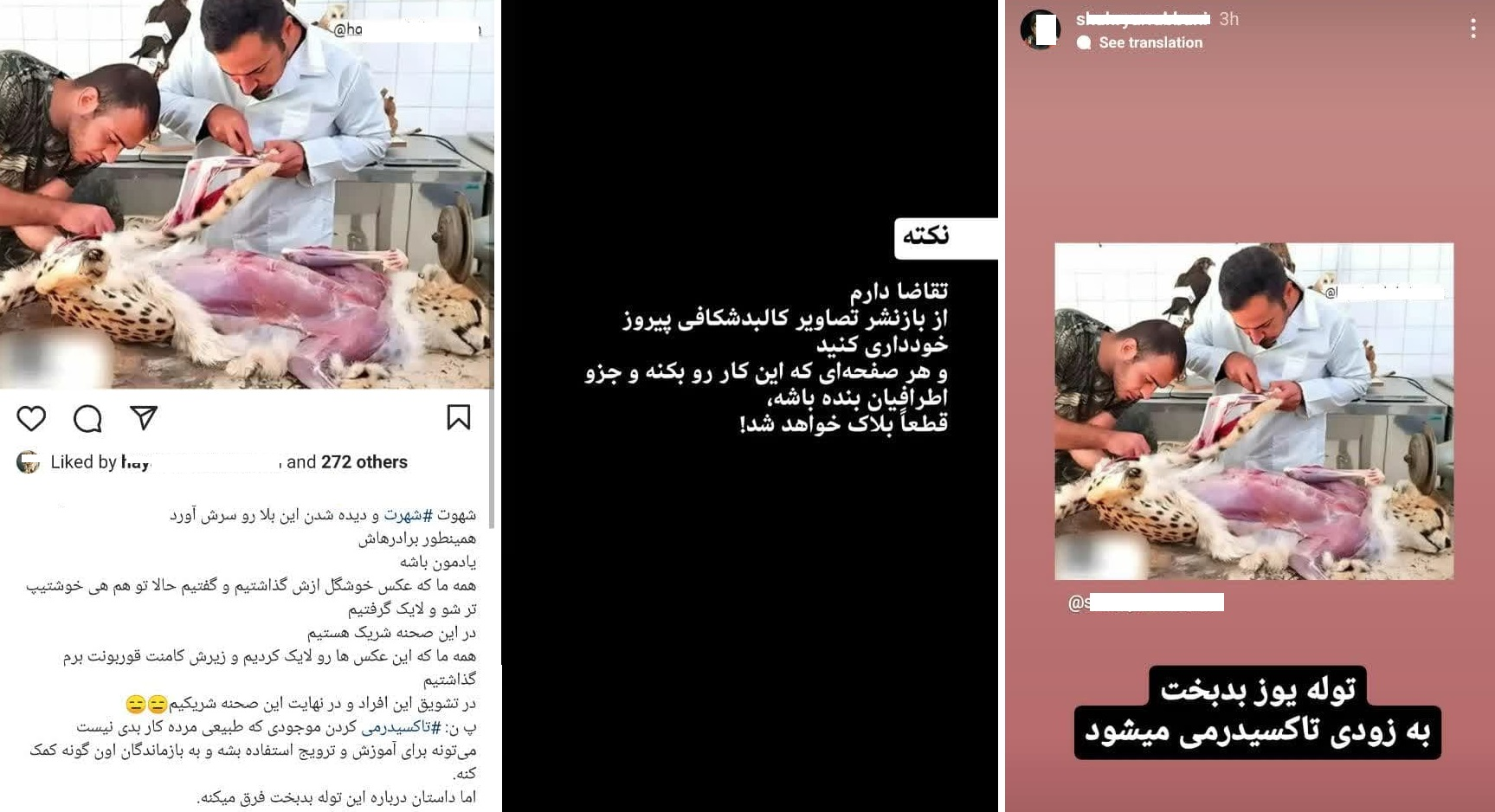 تصاویر پوست&zwnj;کندنِ &laquo;پیروز&raquo; واقعی است؟