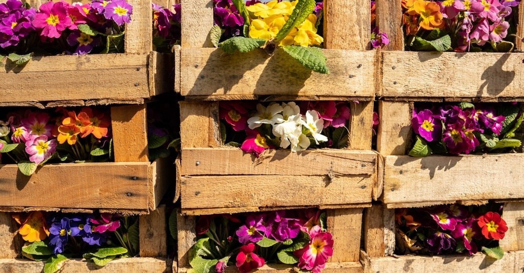 حال و هوای بهاری بازار گل حال و هوای بهاری بازار گل
