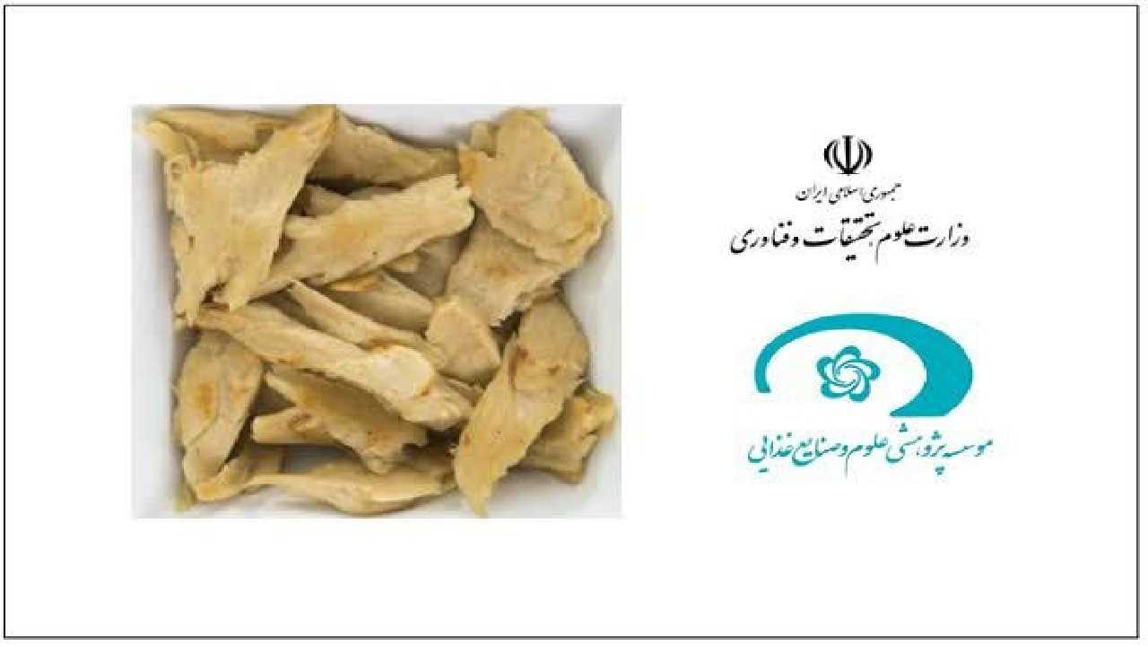 تولید گوشت آنالوگ به عنوان جایگزین پروتئین‌های حیوانی