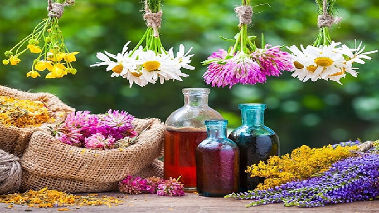 گیاهان دارویی بخش ضروری پزشکی نوین