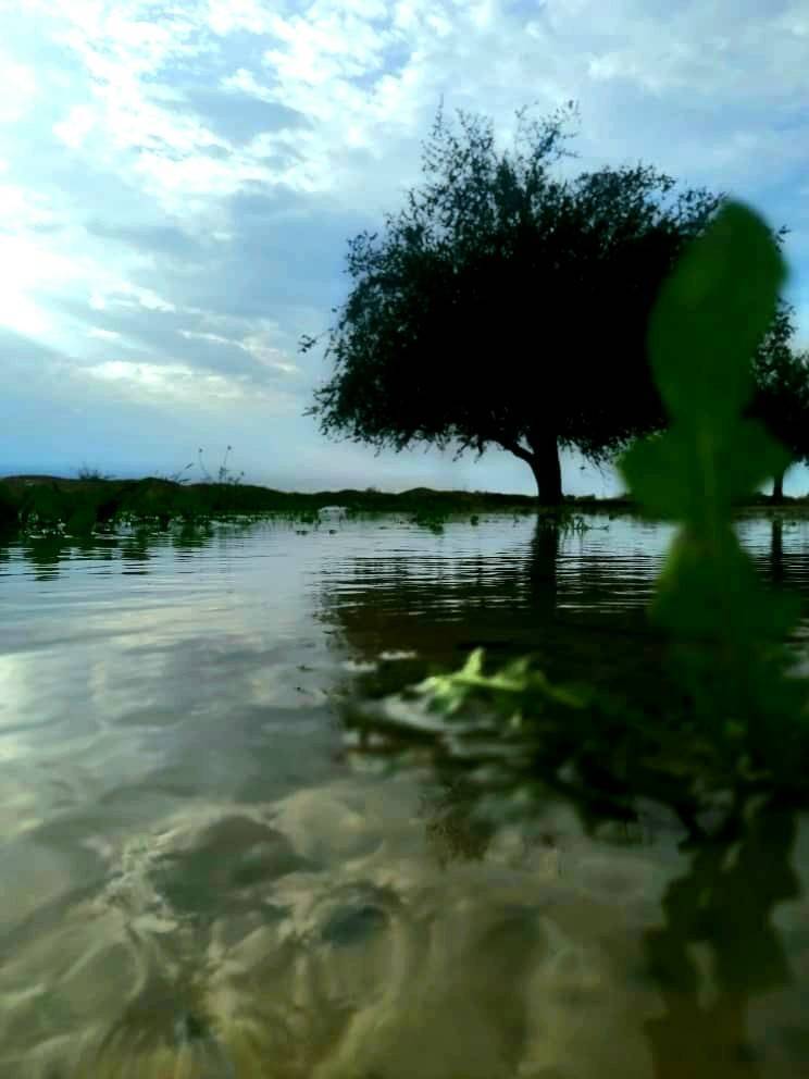بندر