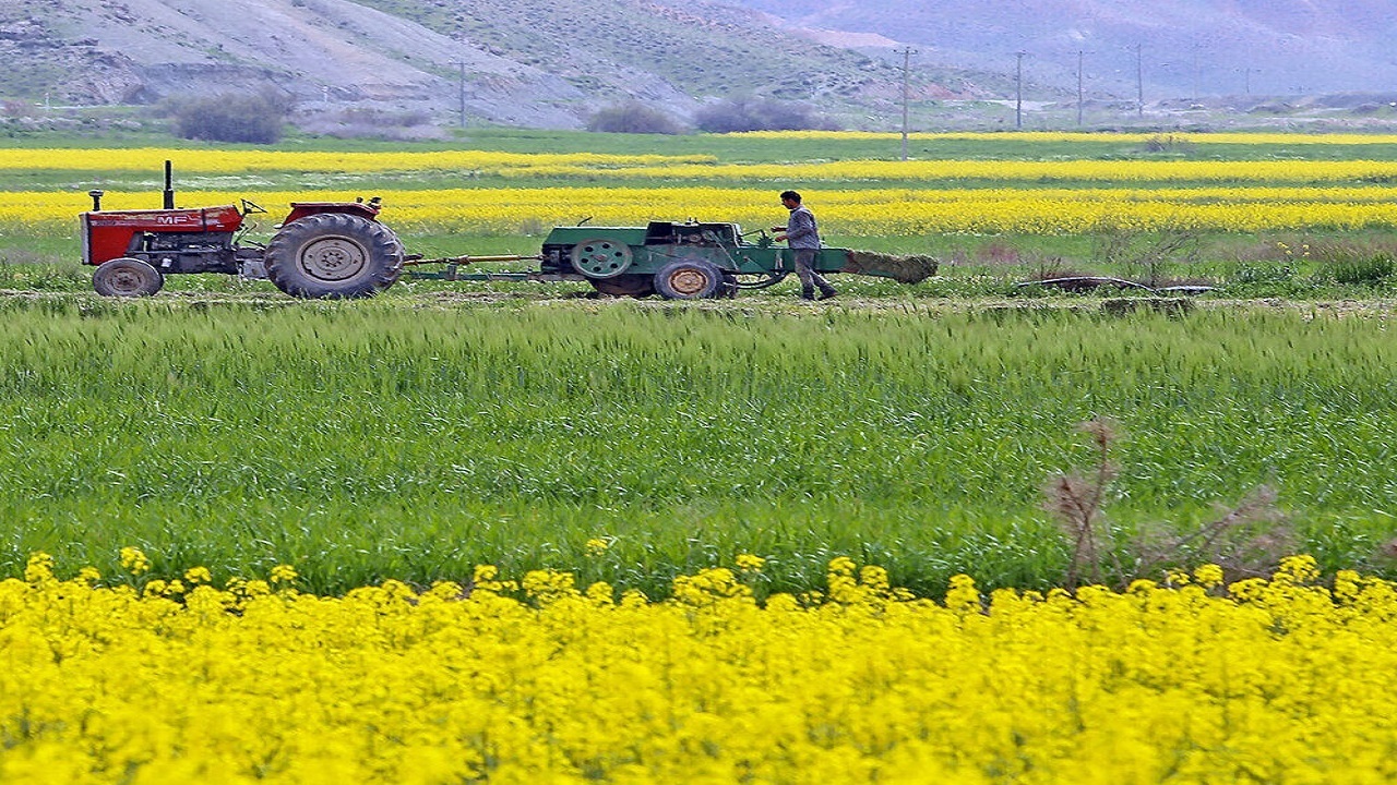رونمایی از سند الگوی کشت استان قزوین