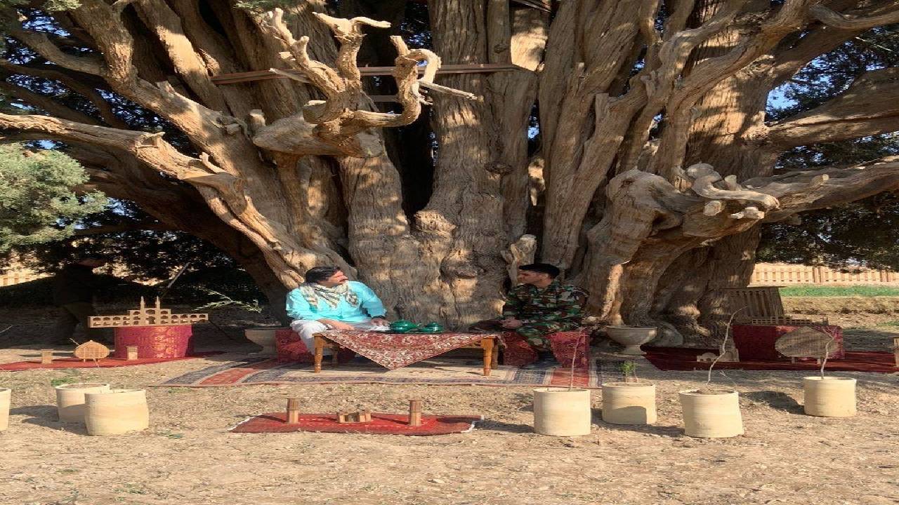 کاشت نهال به هر بهانه‌ای در آستانه روز درخت‌کاری