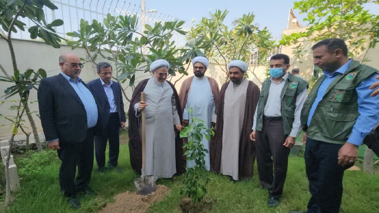 درختکاری را باید به یک فرهنگ عمومی تبدیل کرد