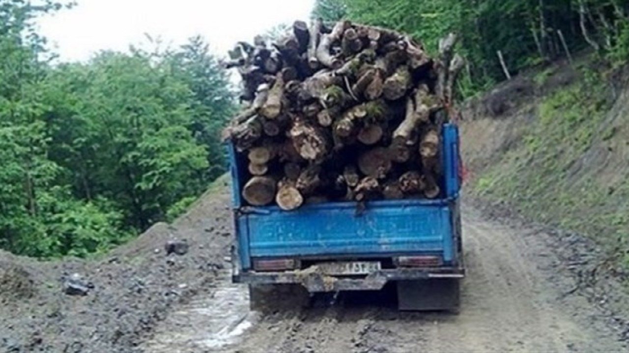 کشف بیش از یک تن چوب قاچاق در کلاله