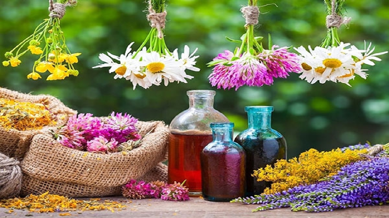 دارو گیاهی