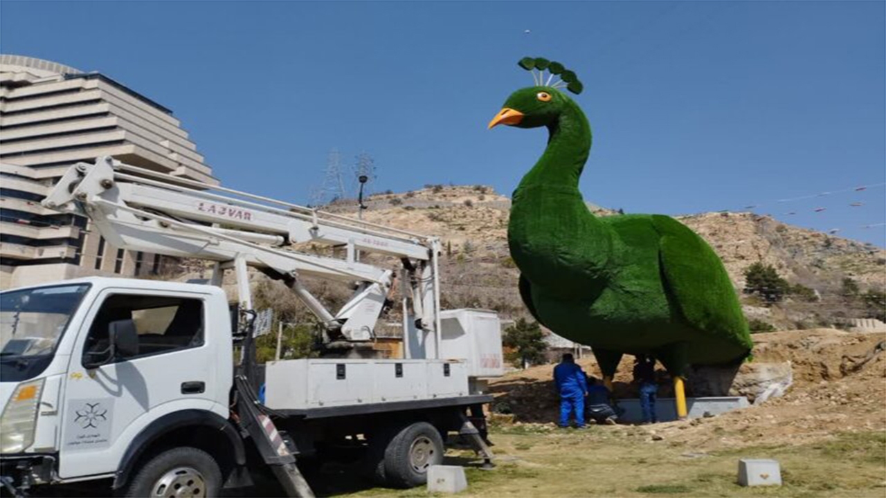 نصب المان جدید طاووس در شیراز