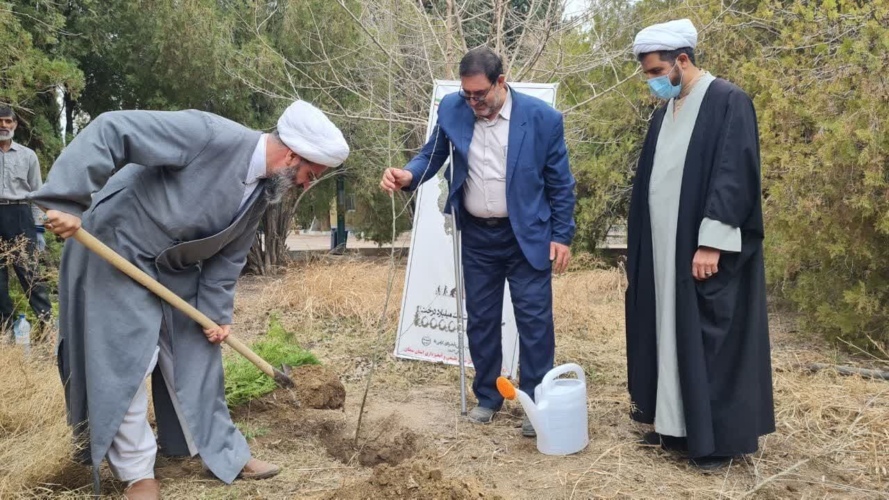 کاشت درخت عبادت و اقدامی ماندگار برای نسل‌های آینده است