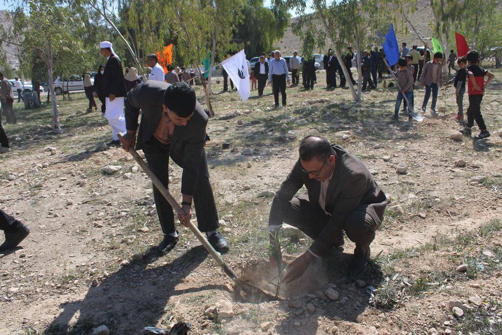 نمایان شدن بهار در لارستان با کاشت نهال + تصاویر