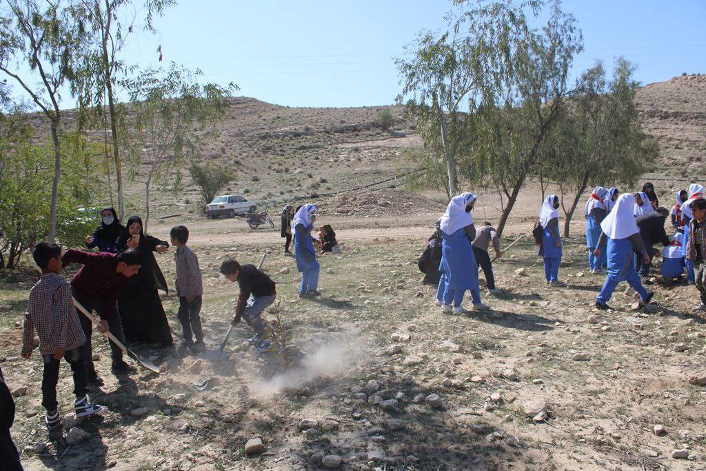 نمایان شدن بهار در لارستان با کاشت نهال + تصاویر