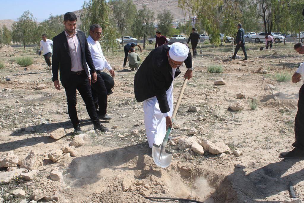 نمایان شدن بهار در لارستان با کاشت نهال + تصاویر