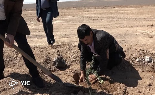 اجرای طرح نهضت ملی کاشت یک میلیارد درخت در بافق