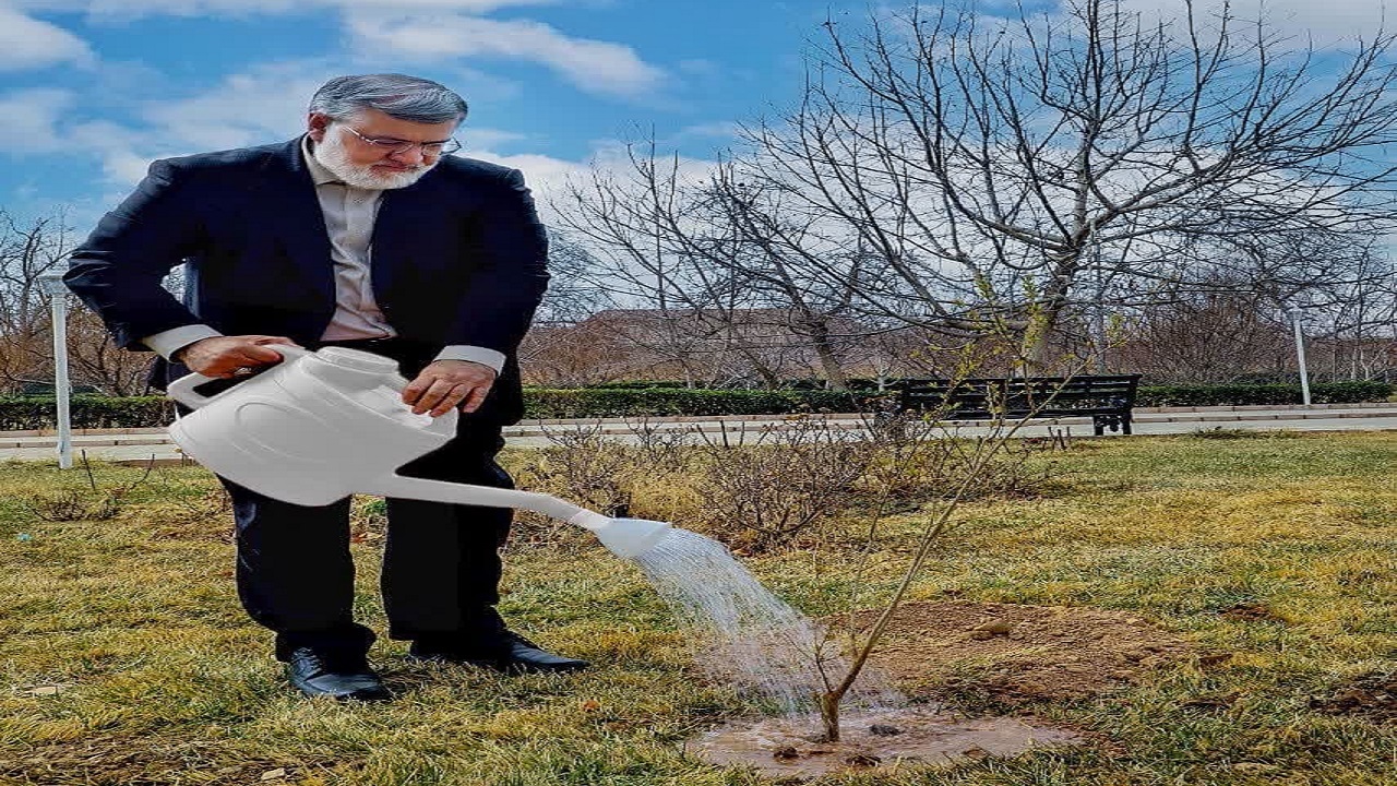 ۵۰ میلیون نهال در آذربایجان غربی کاشته می‌شود
