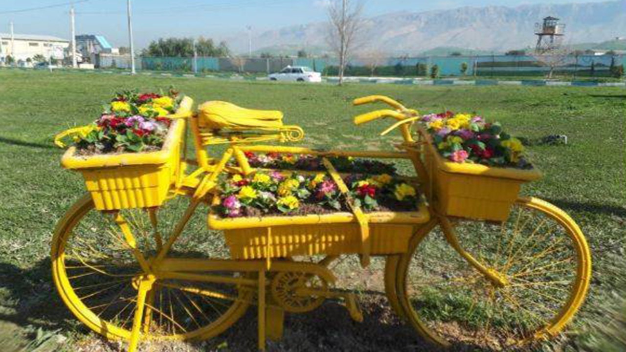 کاشت بیش از ٧٣ هزار بوته گل در کازرون