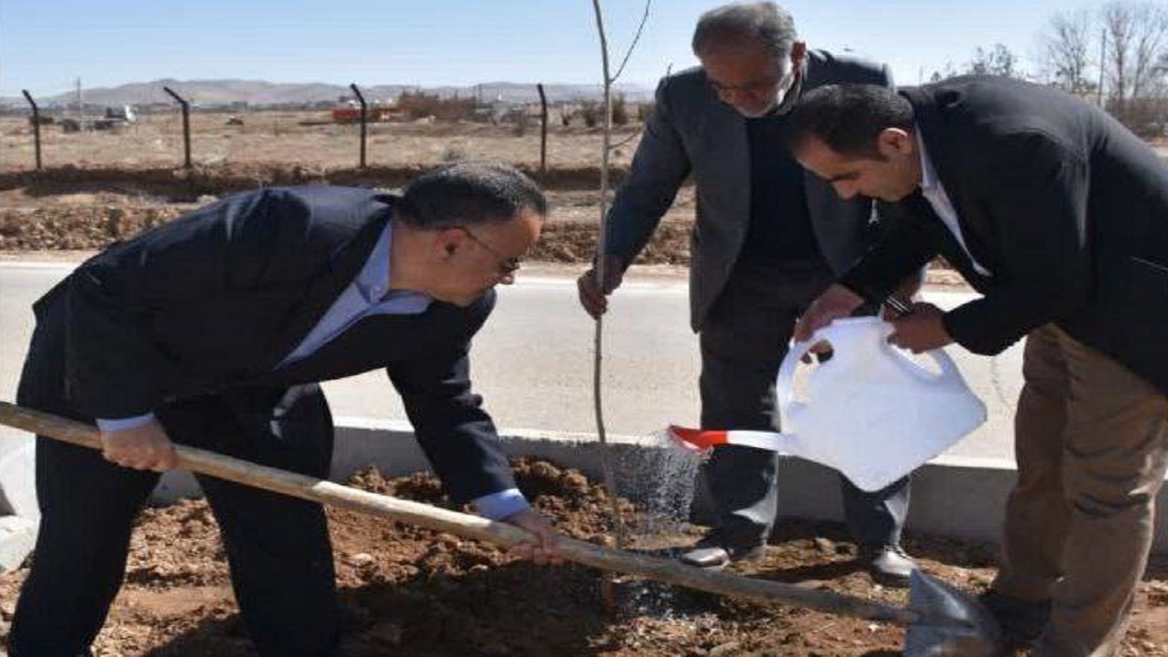 آغاز غرس ۵ هزار اصله نهال غیرمثمر در معابر شهر بروجن