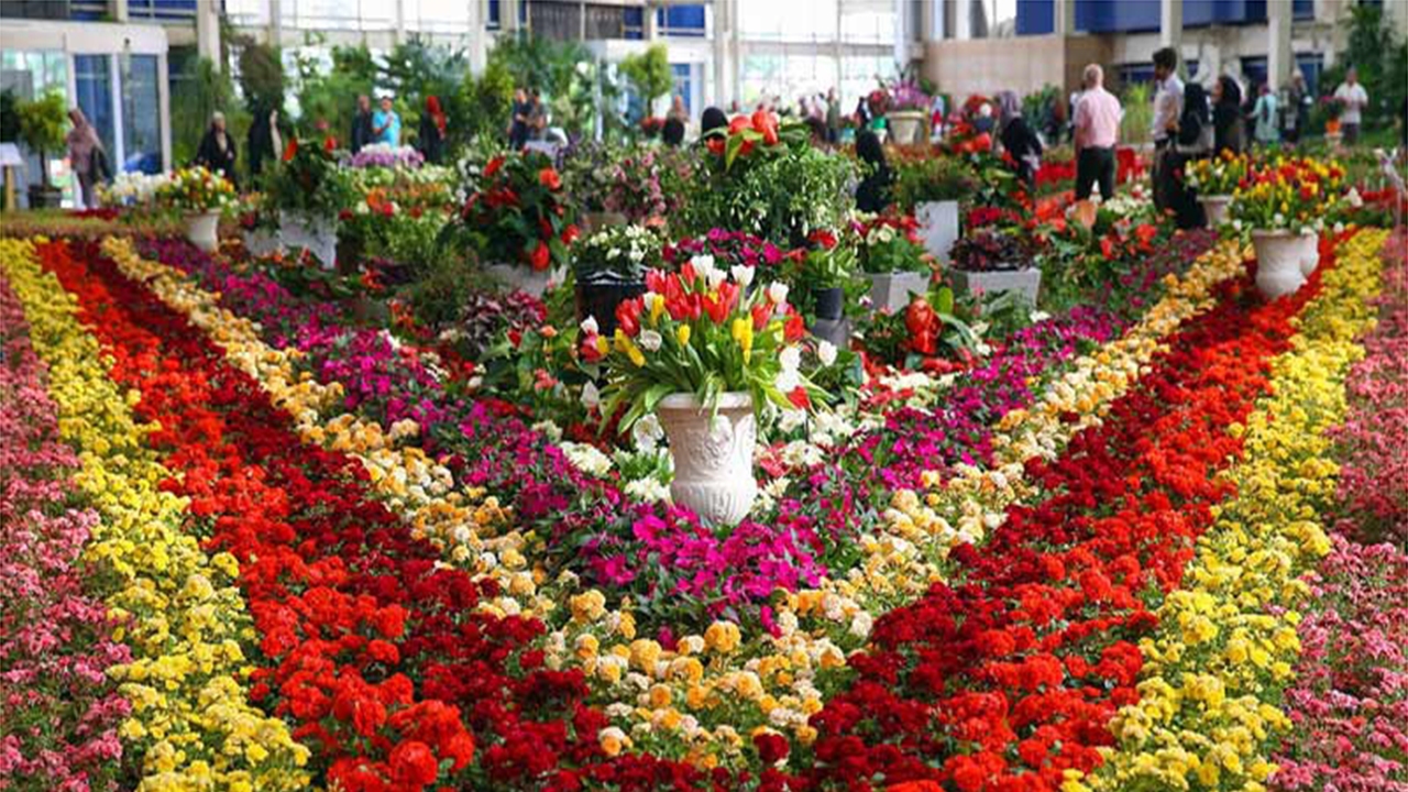 آغاز به کار نمایشگاه‌های گل و گیاه عیدانه در شیراز