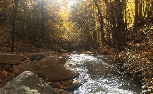 بوژان، روستای هزار رنگ هزار چهره/یک جهان گردشگری در دل کوه های خراسان رضوی پنهان است+ عکس