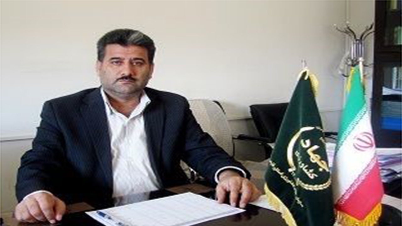 سرمایه گذاران بخش کشاورزی فارس حمایت می‌شوند