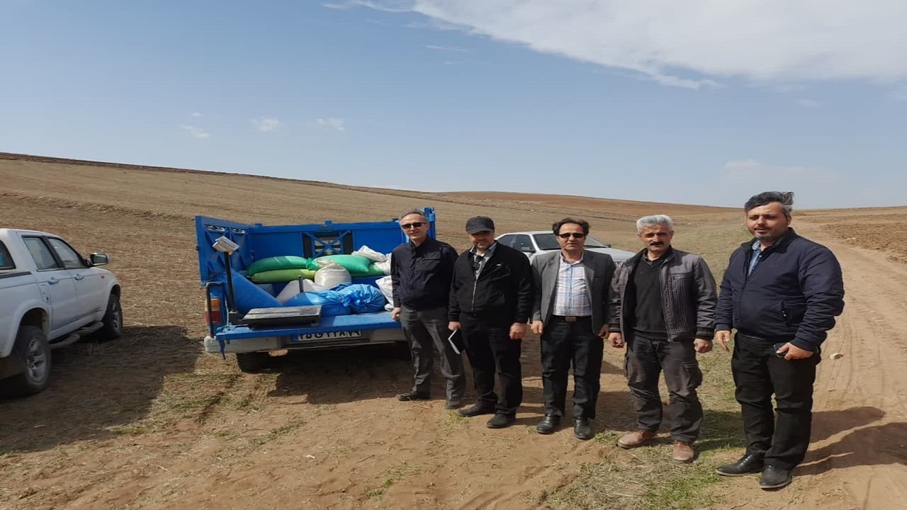 اجرای طرح مقایسه ارقام نخود در مزارع کشاورزی قزوین