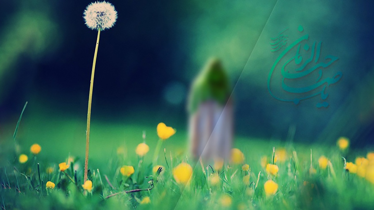حکایت عالمی که می‌خواست امام زمان (عج) را ببیند + فیلم