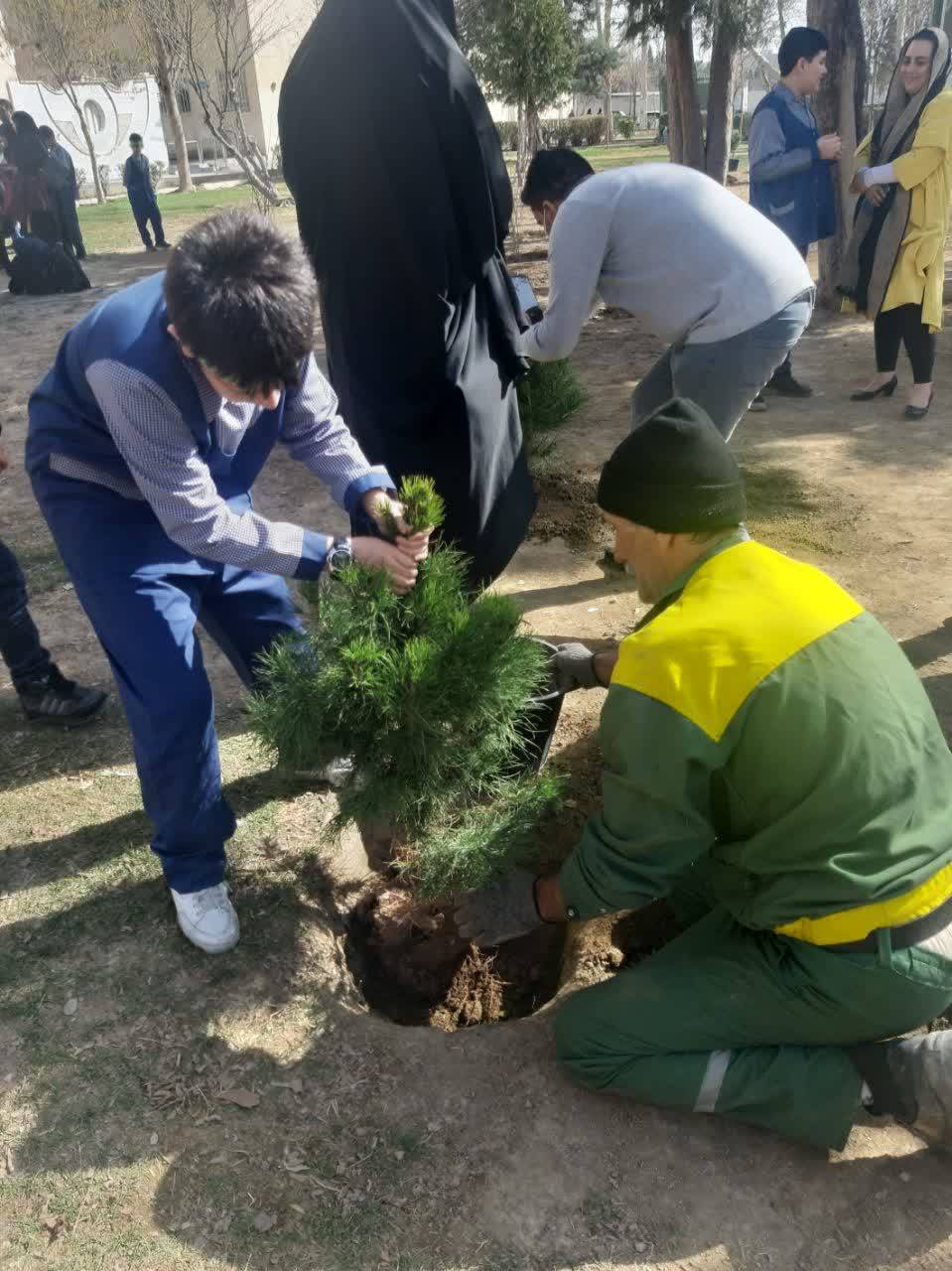 هفته درختکاری