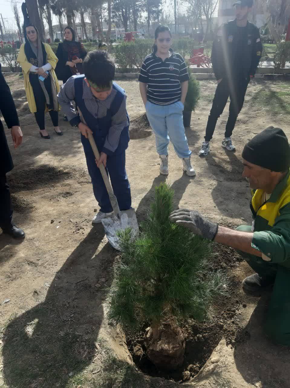 کاشت درخت
