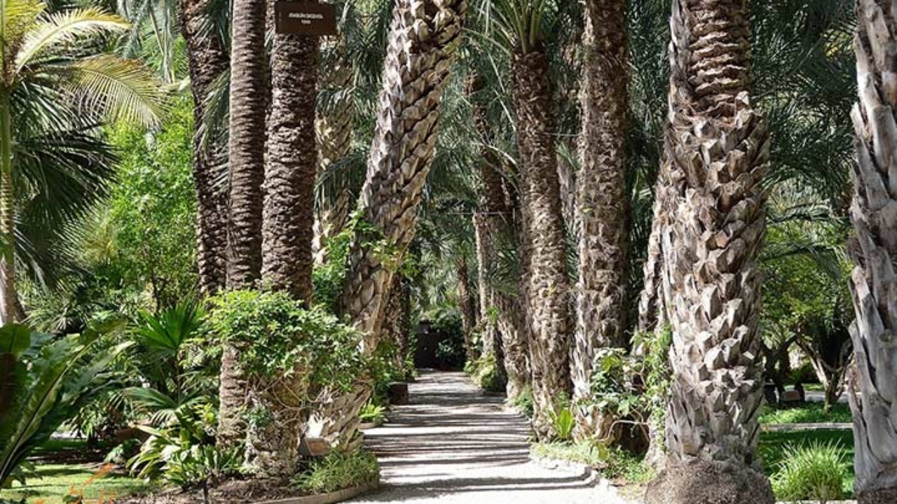 احداث باغ فدک در آبادان