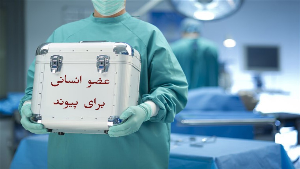 پیوند اعضا میان اتباع خارجی در مشهد + فیلم