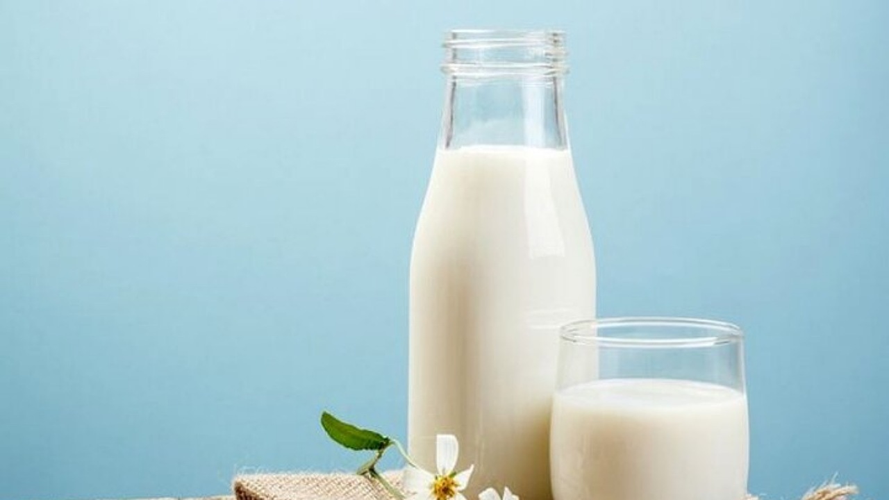 ارتباط نوشیدن شیر با خطر ابتلا به سنگ کلیه