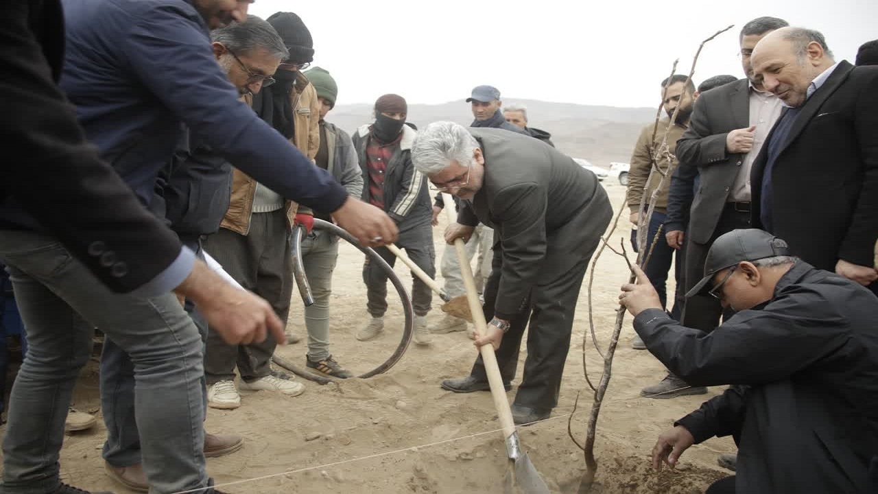 بزرگترین آئین درختکاری کشور/کاشت ۲۲۰ هزار اصله درخت مثمر در منطقه آزاد ماکو+عکس