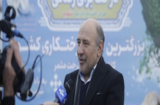 بزرگترین آئین درختکاری کشور/کاشت ۲۲۰ هزار اصله درخت مثمر در منطقه آزاد ماکو