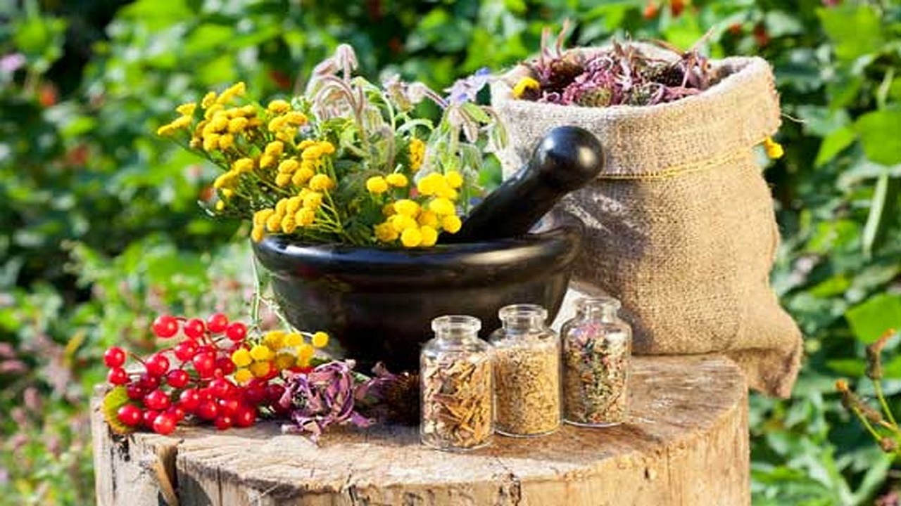 برگزاری دوره نقش طب ایرانی در ناباروری در مهریز