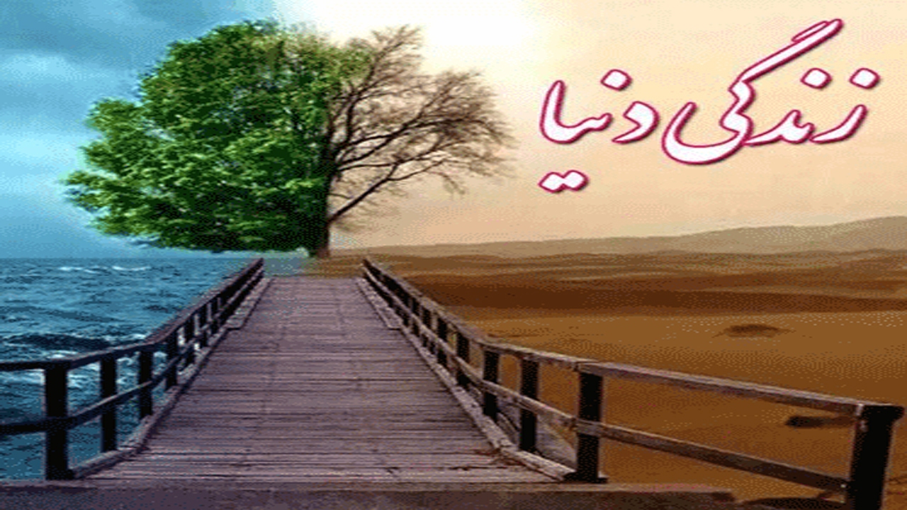 چرا در روایات دنیا اینقدر مذمت شده است؟