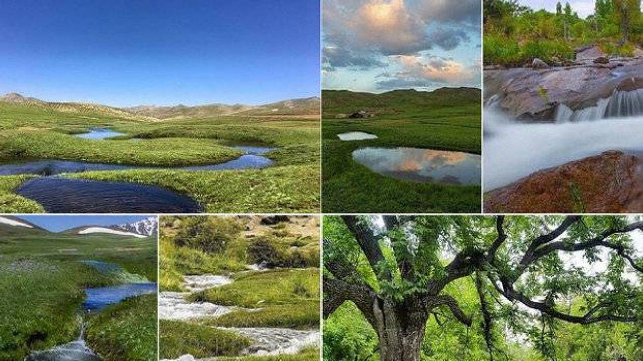 راه اندازی تور‌های یک روزه رابرگردی در ایام نوروز