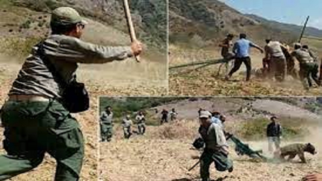 درگیری محیط بانان با شکارچیان متخلف