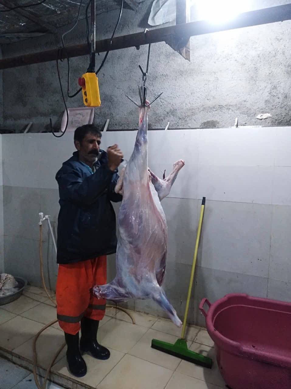 جشن نیمه شعبان در اقصی نقاط کشور + فیلم و تصاویر