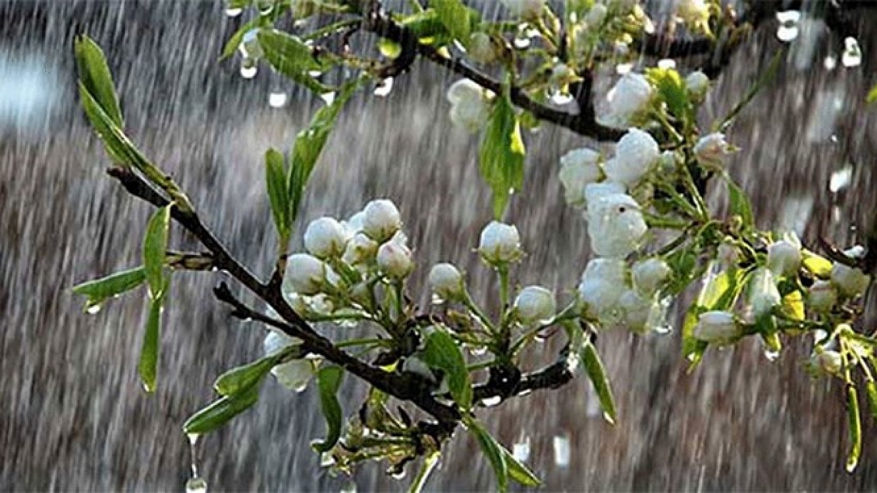 ادامه رگبار‌های بهاری تا شنبه در اصفهان