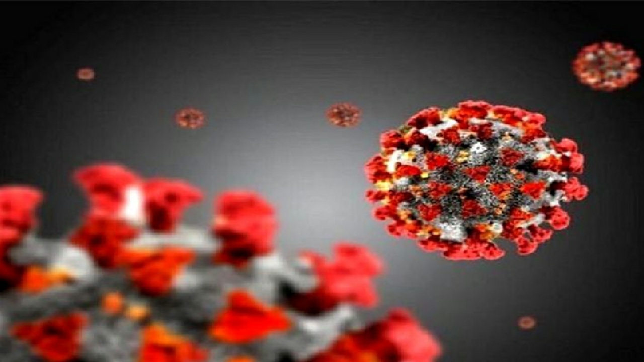 بالا رفتن تب کرونا در استان قزوین
