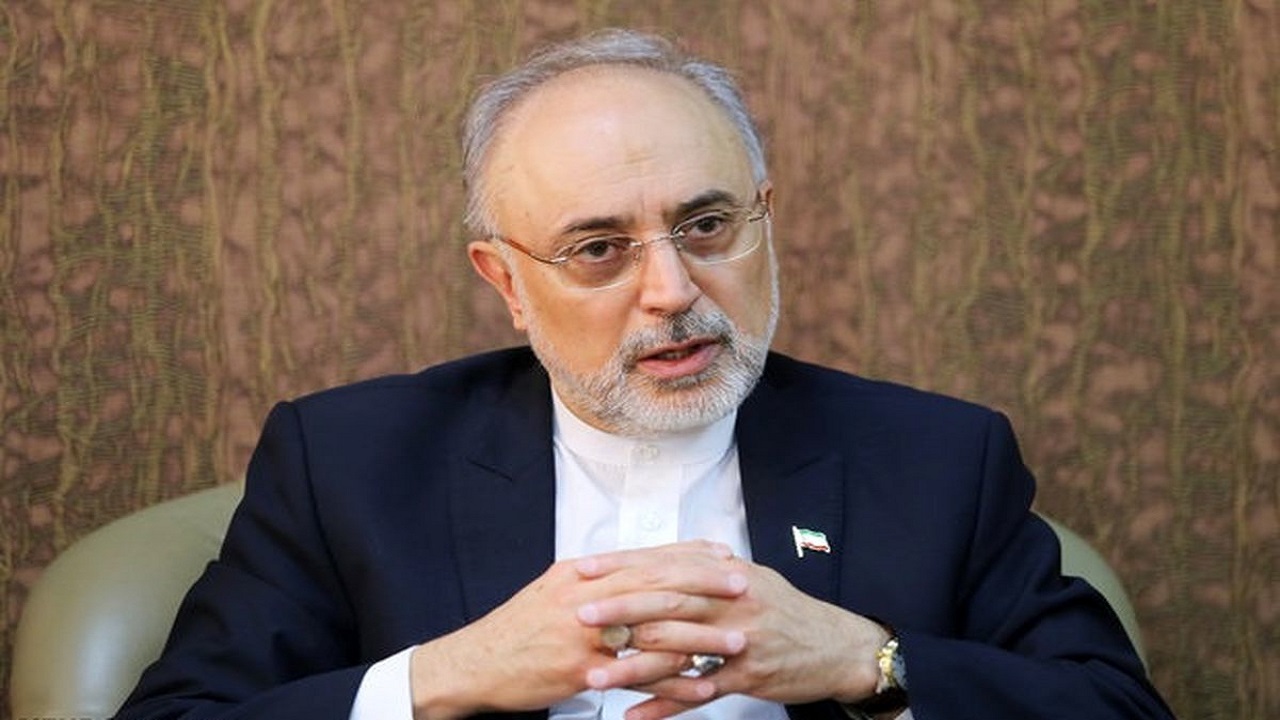 پیام تسلیت صالحی در پی درگذشت حسن غقوری‌فرد