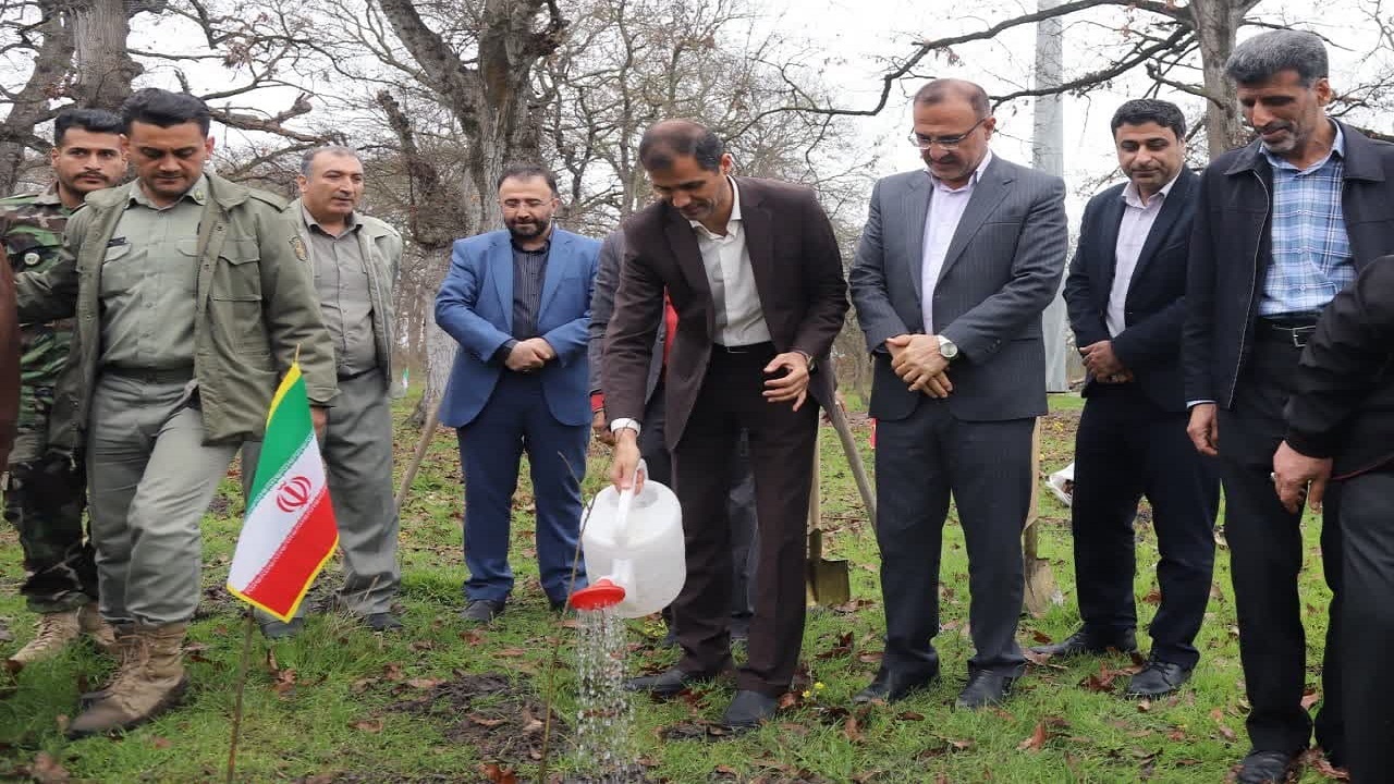 کاشت نهال در پناهگاه حیات وحش دشت ناز