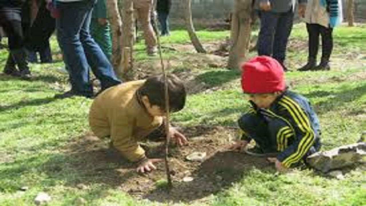کاشت ۱۵ هزار اصله نهال در سبزوار