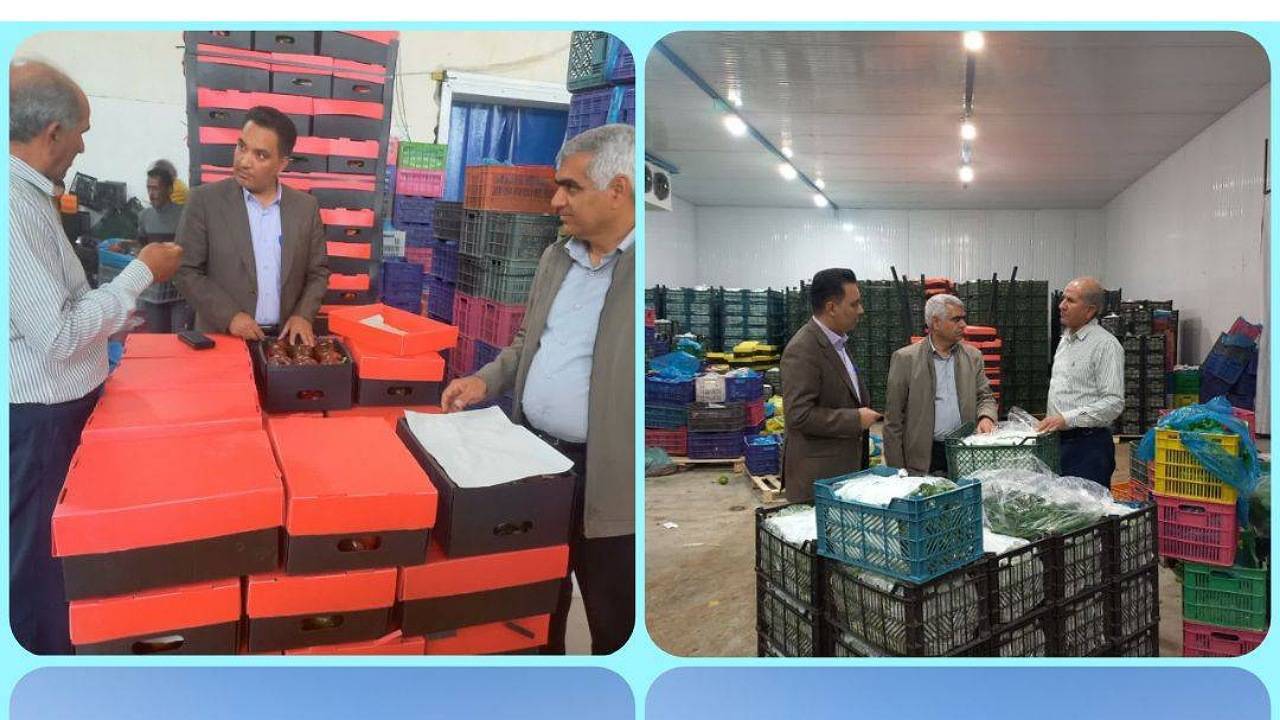 پیگیری مشکلات ۲ واحد در جنوب کرمان