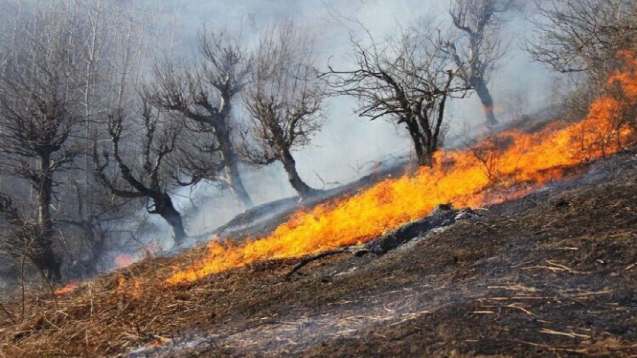 آتش سوزی بیش از ۱۹ هزار مترمربع از مناطق جنگلی گیلان