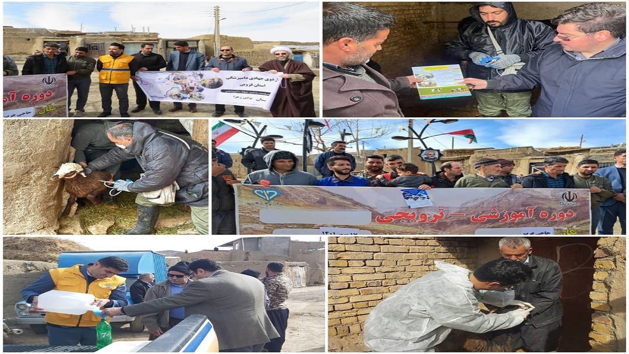 برگزاری  ۱۰ اردوی جهادی دامپزشکی در استان قزوین