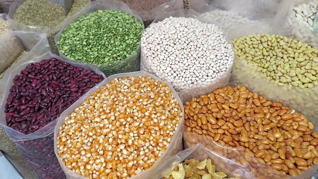 ظرفیت‌های بالای یزد برای خودکفایی در زمینه تولید بذر