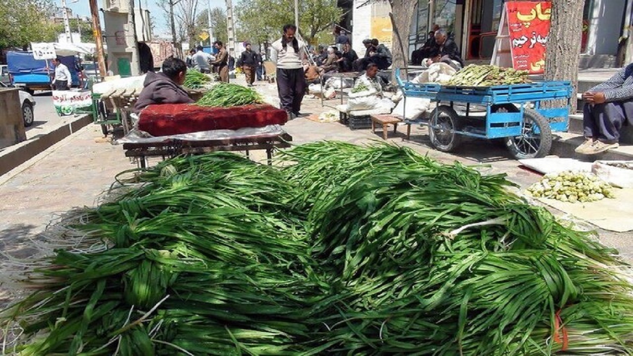 ساماندهی گروه های مقابله با بوته چینی گیاهان مرتعی در کهگیلویه و بویراحمد