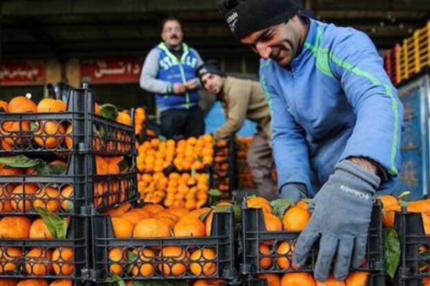 تجارت ایران و چین در بخش کشاورزی افزایش می یابد